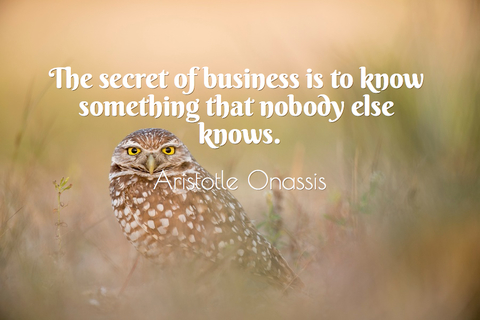1498141720187-the-secret-of-business-is-to-know-something-that-nobody-else-knows.jpg