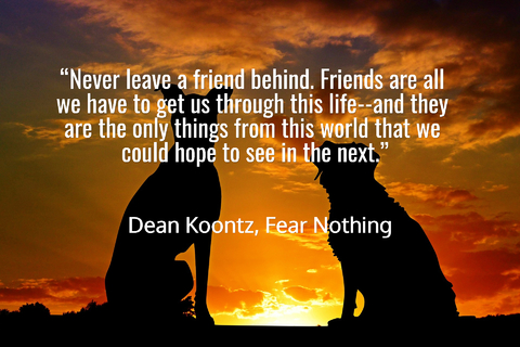 never leave a friend behind friends are all we have to get us through this life and...