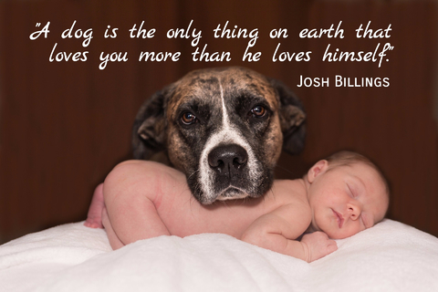 a dog is the only thing on earth that loves you more than he loves himself...