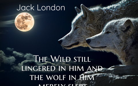 the wild still lingered in him and the wolf in him merely slept...