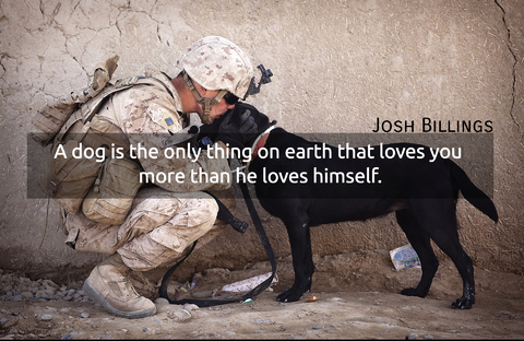 a dog is the only thing on earth that loves you more than he loves himself...