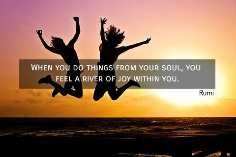 when you do things from your soul you feel a river of joy within you...