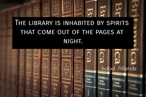 the library is inhabited by spirits that come out of the pages at night...