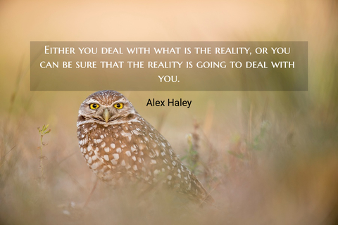 either you deal with what is the reality or you can be sure that the reality is going to...