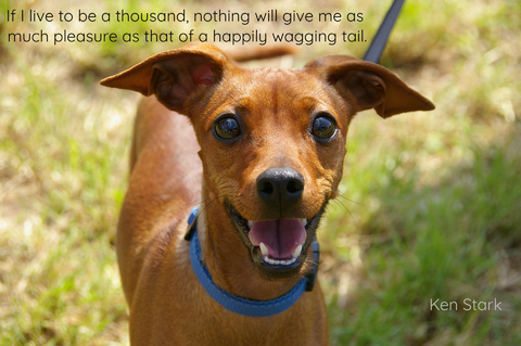 if i live to be a thousand i will never derive more pleasure from anything than i do at...