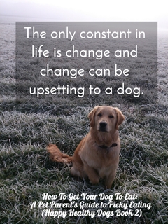 1503739380194-the-only-constant-in-life-is-change-and-change-can-be-upsetting-to-a-dog.jpg