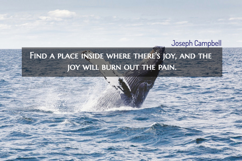 find a place inside where theres joy and the joy will burn out the pain...