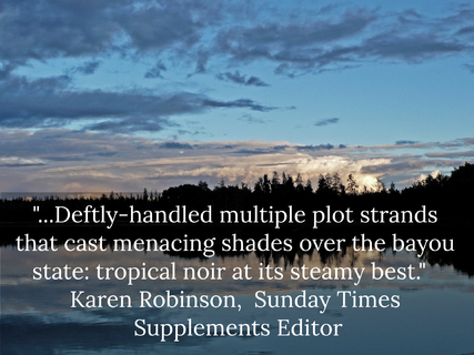 1507048599693-deftly-handled-multiple-plot-strands-that-cast-menacing-shades-over-the-bayou-state.jpg