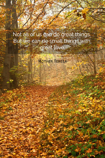 not all of us can do great things but we can do small things with great love...