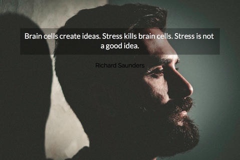 brain cells create ideas stress kills brain cells stress is not a good idea...