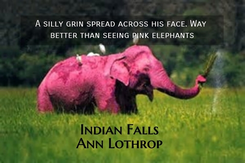 a silly grin spread across his face way better than seeing pink elephants...
