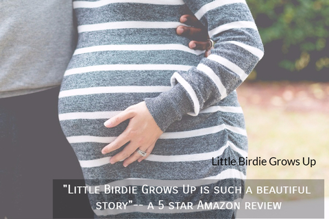 1512749758697-little-birdie-grows-up-is-such-a-beautiful-story-a-5-star-amazon-review.jpg