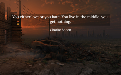 1515246673994-you-either-love-or-you-hate-you-live-in-the-middle-you-get-nothing.jpg