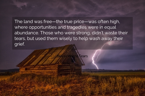 the land was freethe true pricewas often high where opportunities and tragedies...