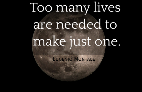 too many lives are needed to make just one...
