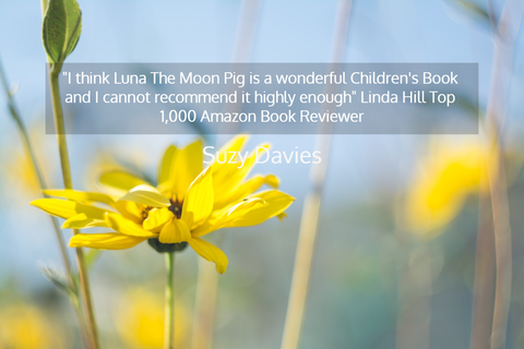 i think luna the moon pig is a wonderful childrens book and i cannot recommend it...