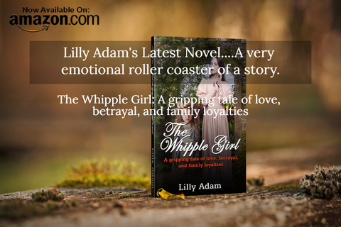 lilly adams latest novel a very emotional roller coaster of a story...