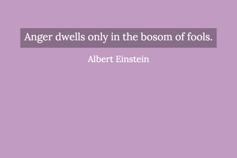 1522740795795-anger-dwells-only-in-the-bosom-of-fools.jpg