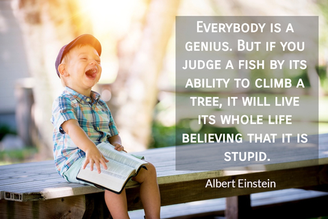 everybody is a genius but if you judge a fish by its ability to climb a tree it will...