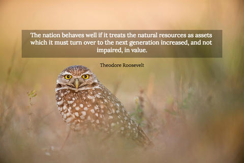 1529171673768-the-nation-behaves-well-if-it-treats-the-natural-resources-as-assets-which-it-must-turn.jpg