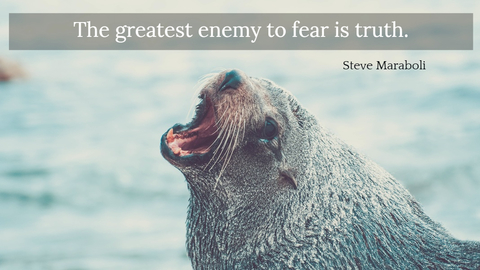 the greatest enemy to fear is truth...