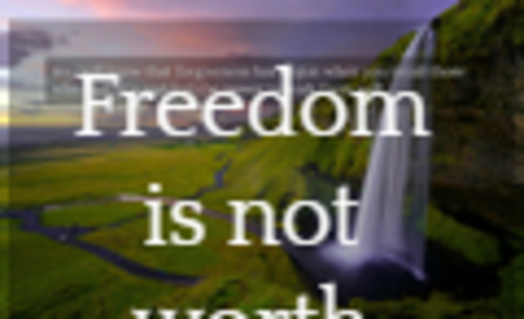 freedom is not worth having if it does not connote freedom to err...