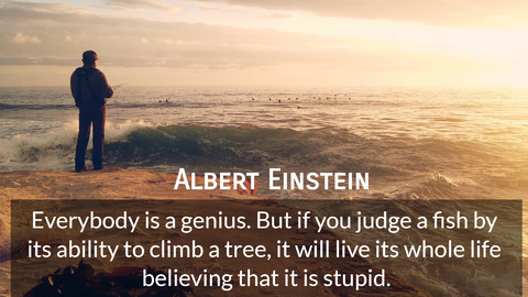 everybody is a genius but if you judge a fish by its ability to climb a tree it will...