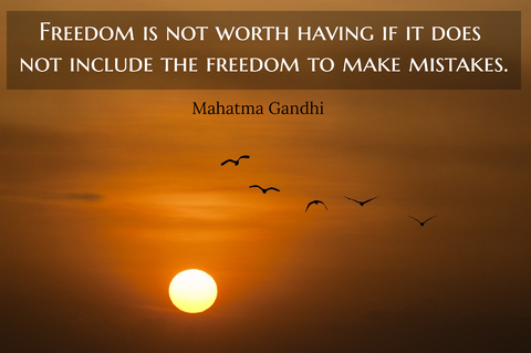 freedom is not worth having if it does not include the freedom to make mistakes...