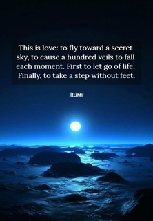 1531570341114-this-is-love-to-fly-toward-a-secret-sky-to-cause-a-hundred-veils-to-fall-each-moment.jpg