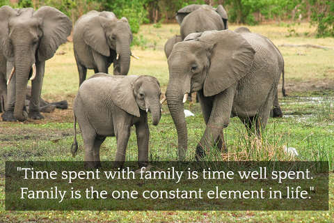 time spent with family is time well spent family is the one constant element in life...