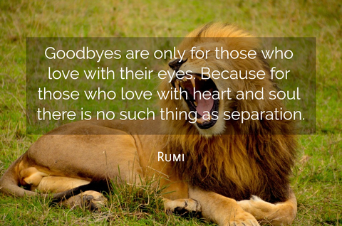 goodbyes are only for those who love with their eyes because for those who love with...
