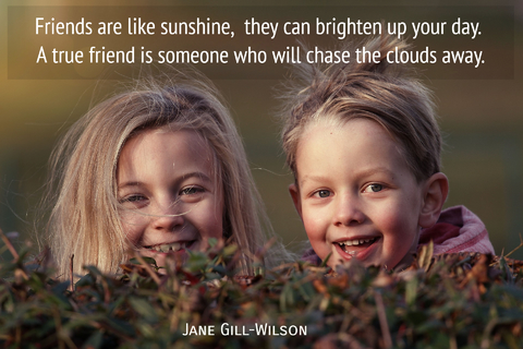 friends are like sunshine they can brighten up your day a true friend is someone who...