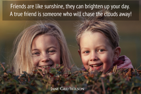 friends are like sunshine they can brighten up your day a true friend is someone who...