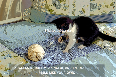 1533491784872-success-is-only-meaningful-and-enjoyable-if-it-feels-like-your-own.jpg