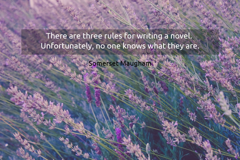 1539417180587-there-are-three-rules-for-writing-a-novel-unfortunately-no-one-knows-what-they-are.jpg