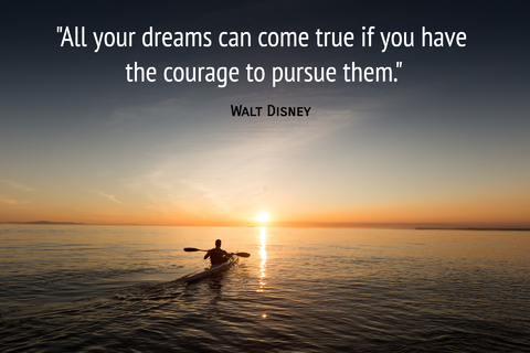 all your dreams can come true if you have the courage to pursue them...