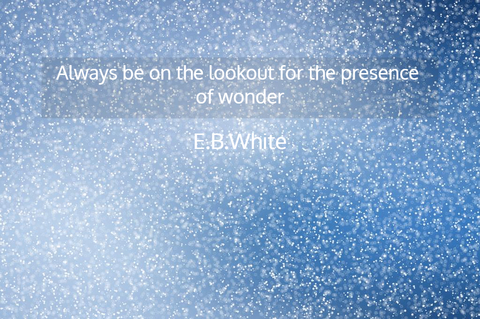 always be on the lookout for the presence of wonder...