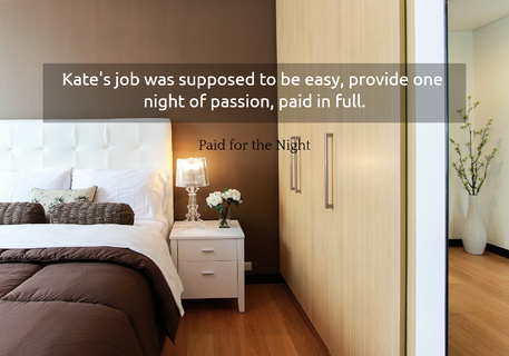 kates job was supposed to be easy provide one night of passion paid in full...