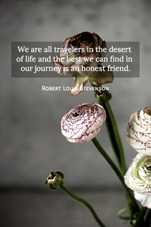 we are all travelers in the desert of life and the best we can find in our journey is an...