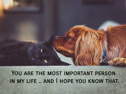 you are the most important person in my life and i hope you know that...