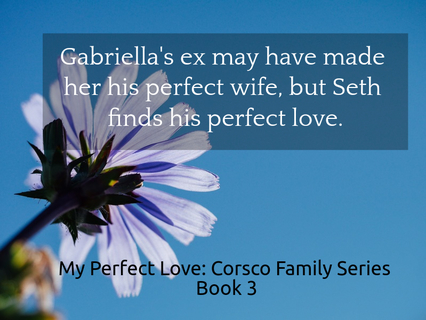 gabriellas ex made her his perfect wife seth finds his perfect love with her...