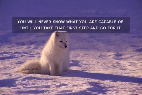 1549822534625-you-will-never-know-what-you-are-capable-of-until-you-take-that-first-step-and-go-for-it.jpg
