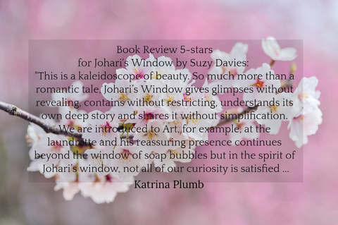book review 5 stars joharis window by suzy davies this is a kaleidoscope of beauty...