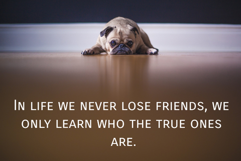 in life we never lose friends we only learn who the true ones are...