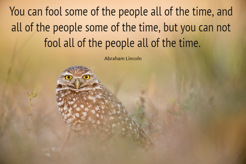 you can fool some of the people all of the time and all of the people some of the time...