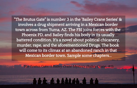 the brutus gate is number 3 in the bailey crane series involves a drug shipment...