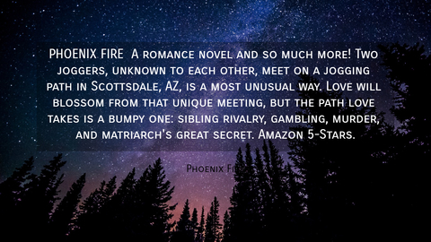 phoenix fire a romance novel and so much more two joggers unknown to each other meet...