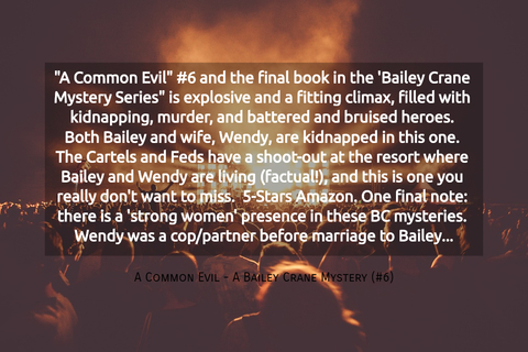 a common evil 6 and the final book in the bailey crane mystery series is...