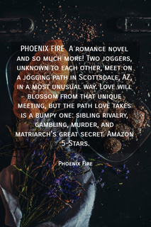 phoenix fire a romance novel and so much more two joggers unknown to each other meet...