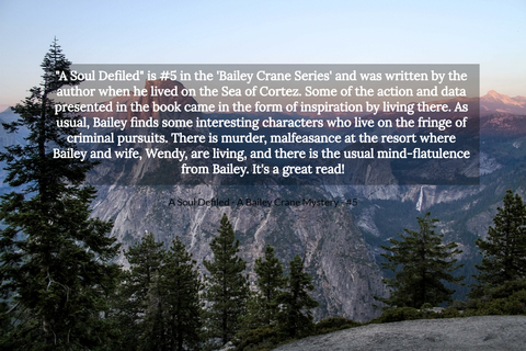 a soul defiled is 5 in the bailey crane series and was written by the author...